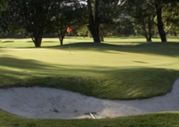 Golf in Manly