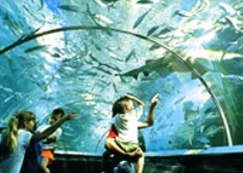 Oceanworld Aquarium
