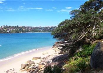 Manly to Spit Bridge Walk